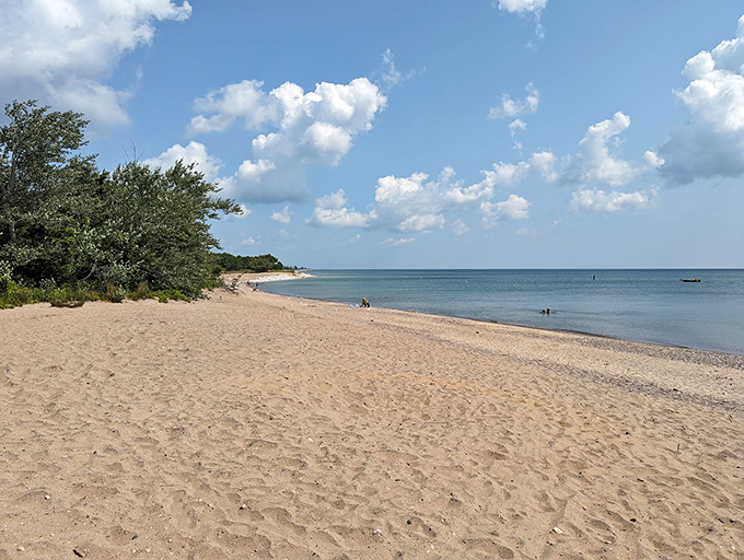 Illinois Beach State Park