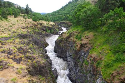 Ishi Pishi (aka Dillacorte Rapids)