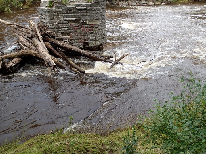 Jacobus Bridge Pier (JBP)