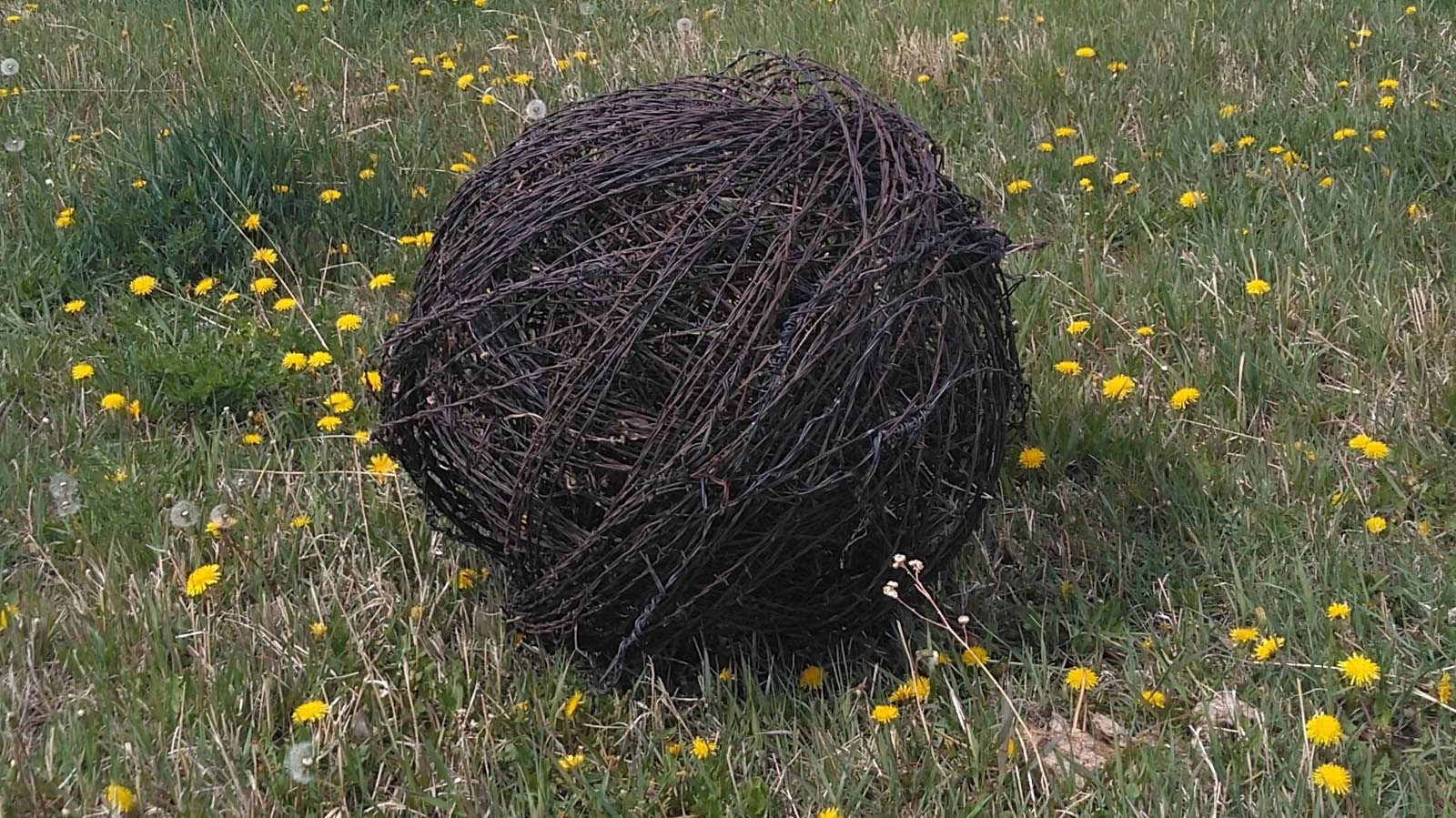 Kelly Ranch - barbed wire fence hazard