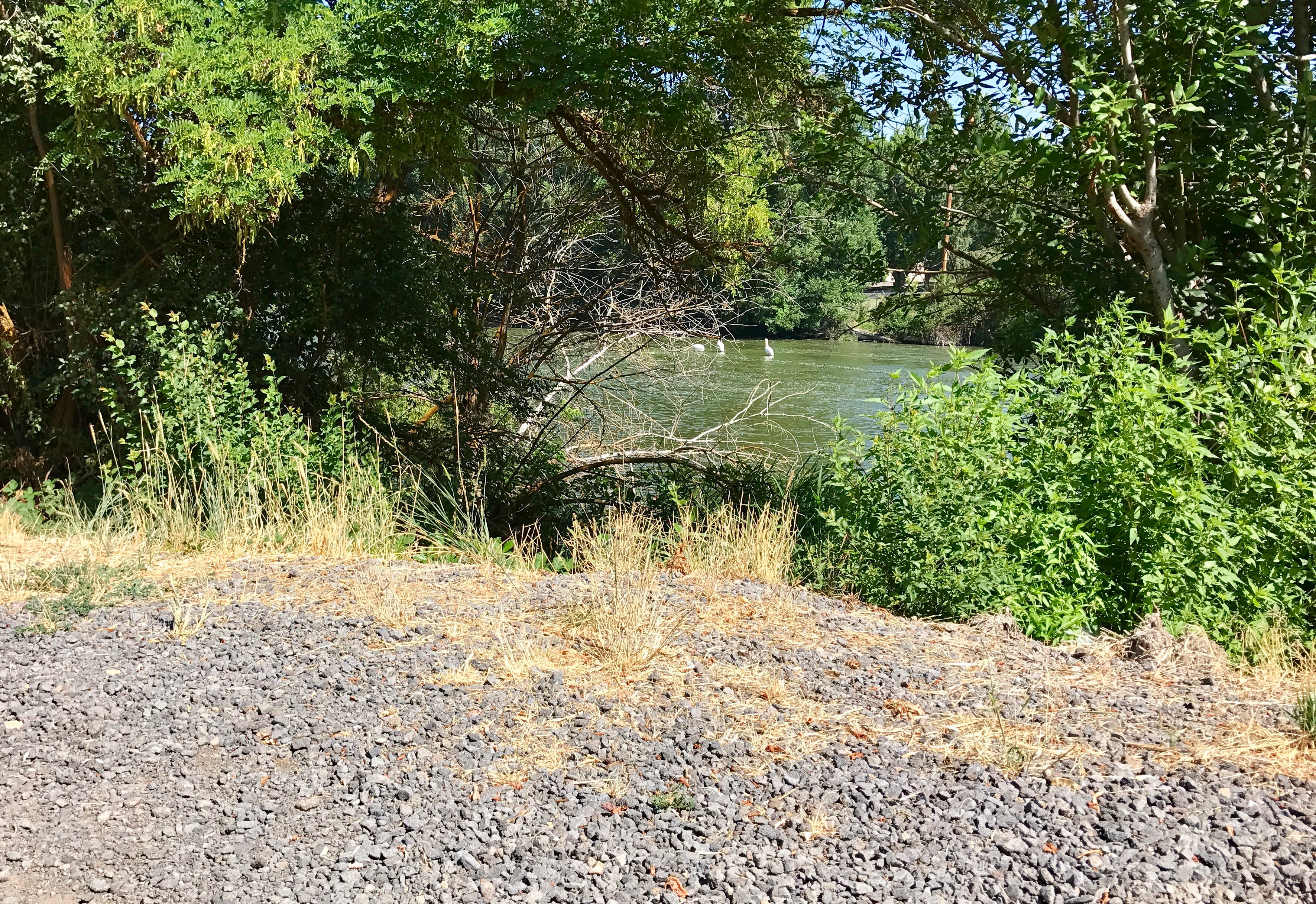 Link River Trail Parking