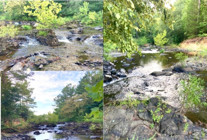 Little River Confluence