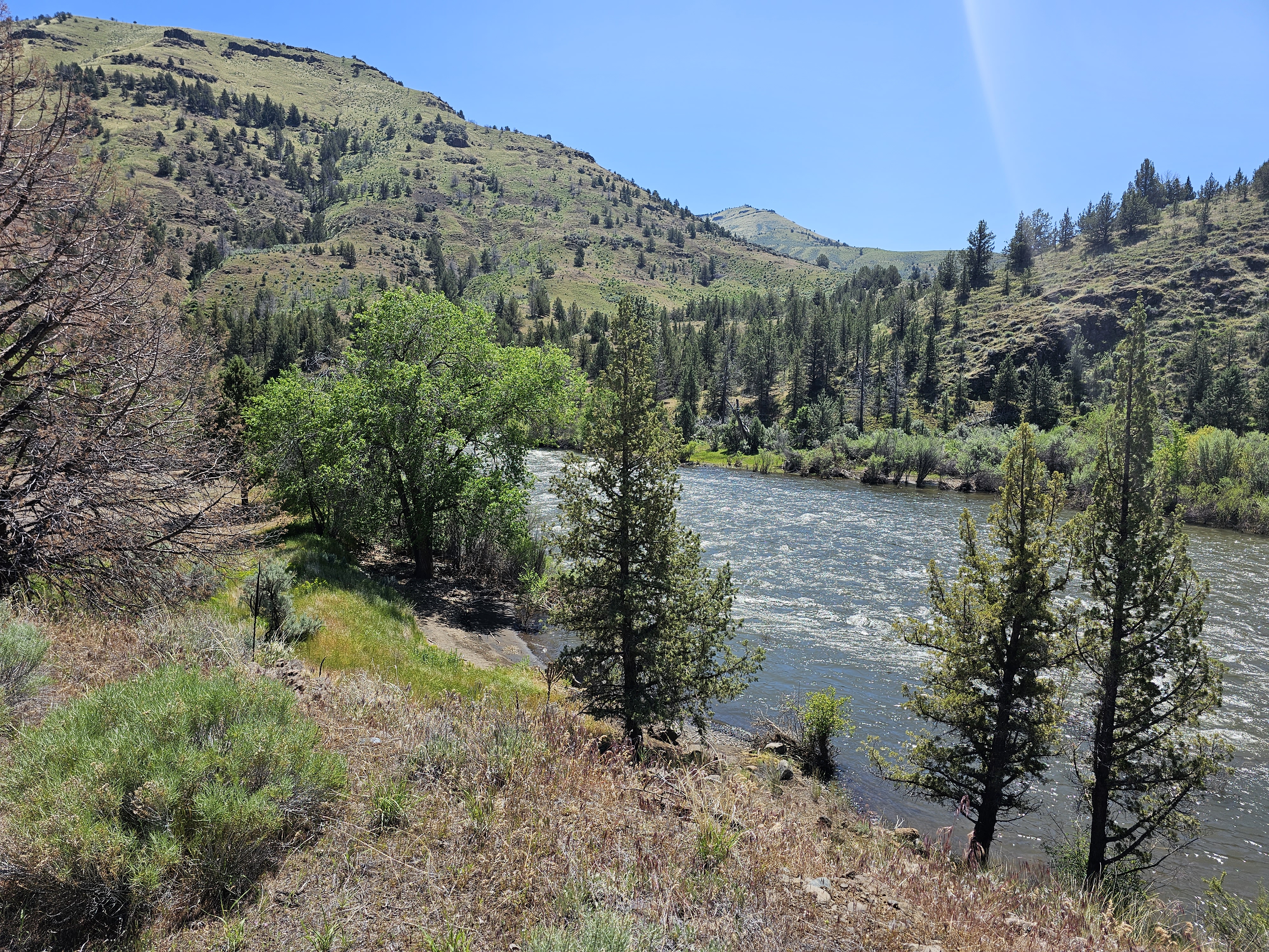 Lone Pine Campground