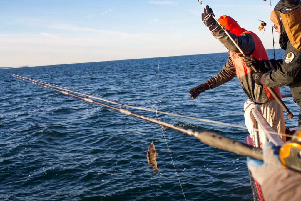 Long Shore Ledge (a.k.a. The Party Wave)