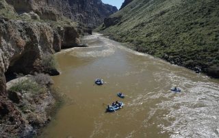 Lower Owl Hollow Riffle