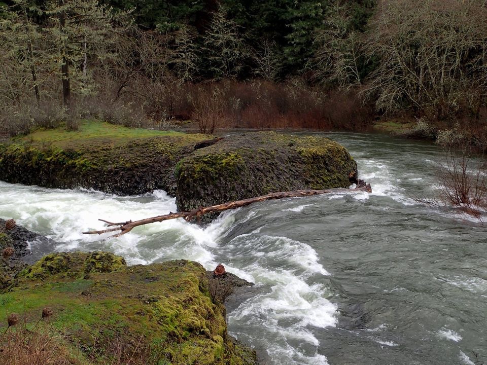 Memalose Log Station