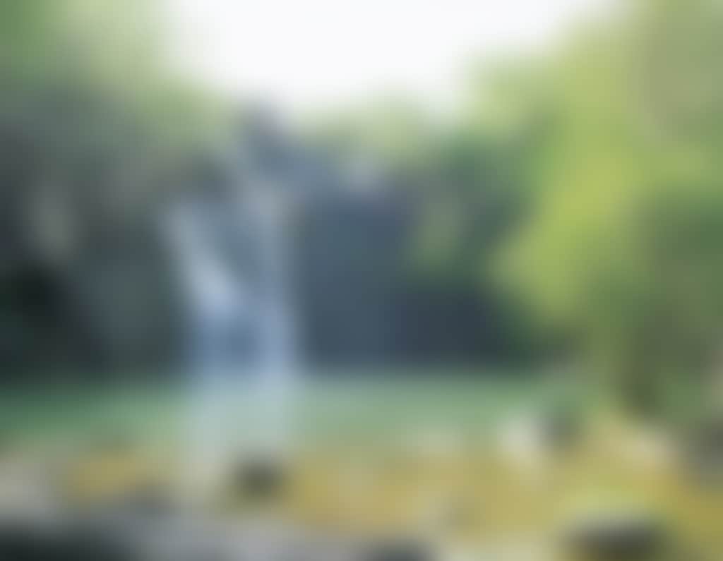 Michael Falls (50/50 Hole)