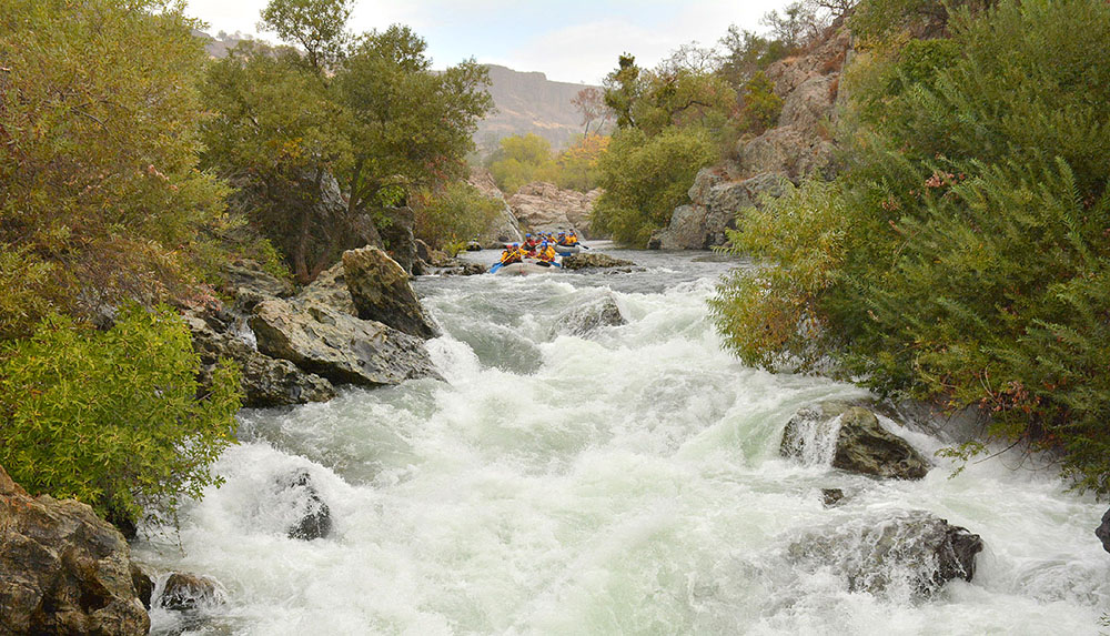 Mr. Toad's Wild Ride