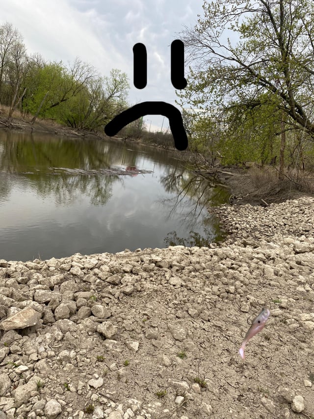 Mt.Prospect: Dam #2 (REMOVED)