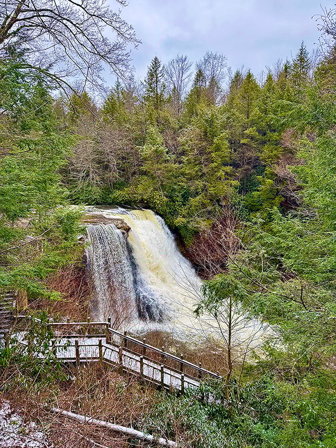 Muddy Creek Falls
