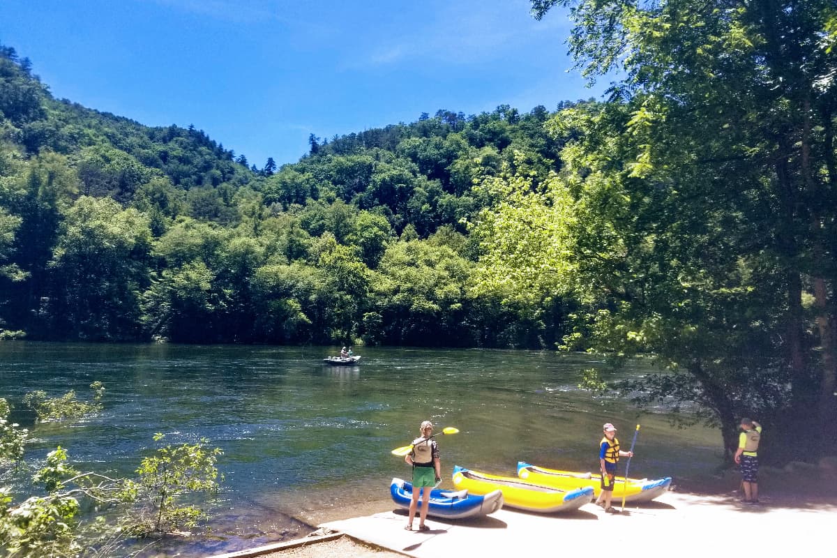Nemo bridge - Take-out