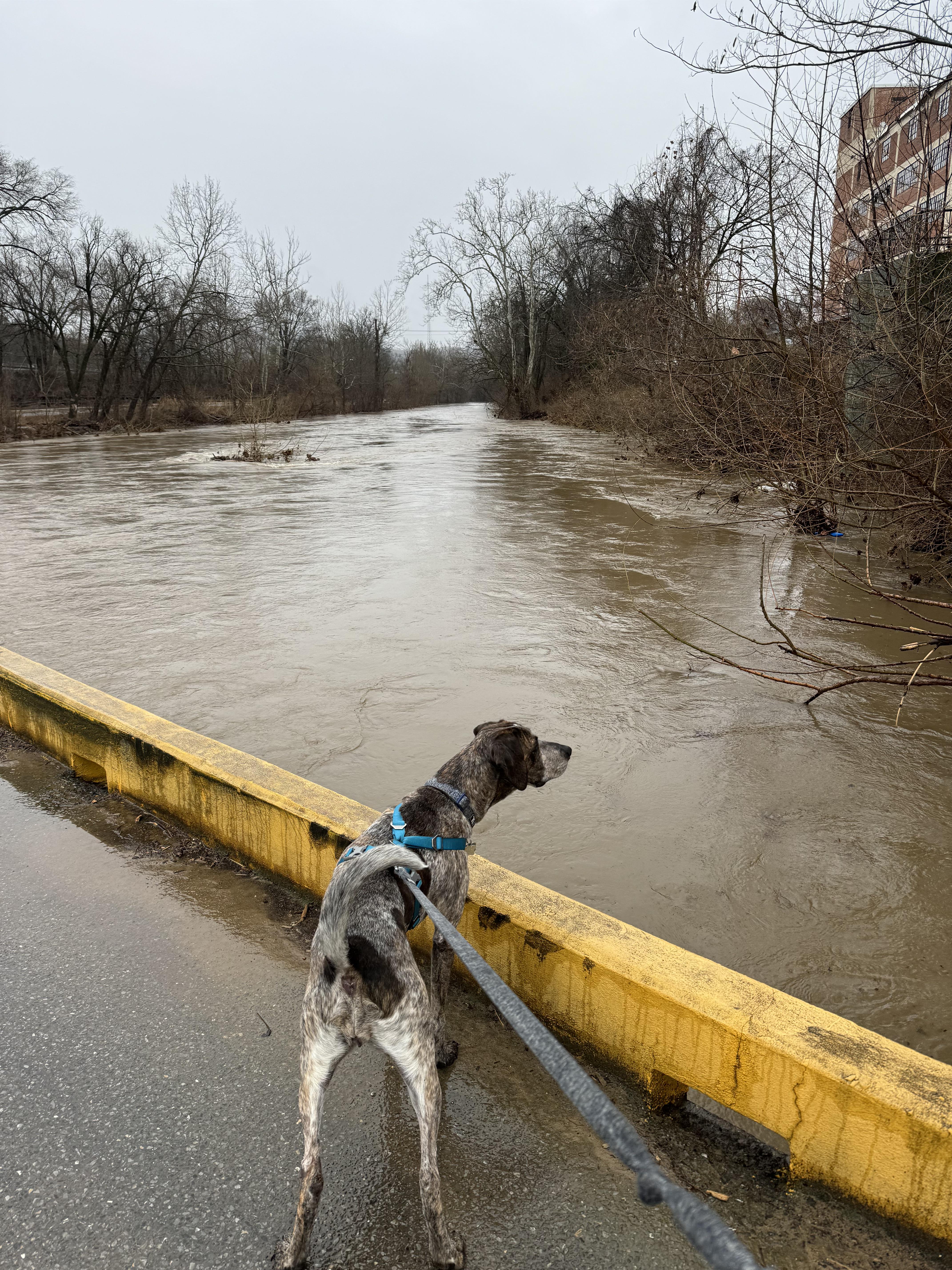 Norfolk-Southern Railroad