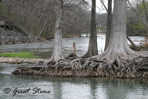 Old Low-Water Crossing