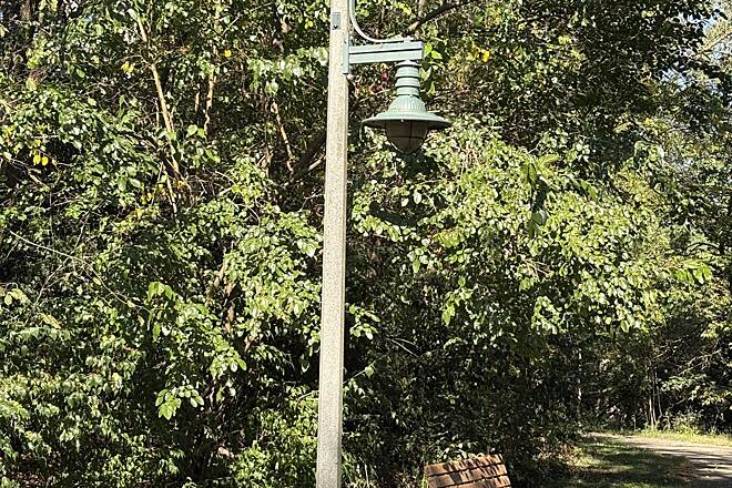 Otsego 12th St. dam: possible play?