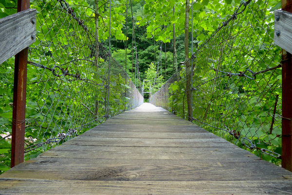 Otter Creek Trail Foot Bridge (Alt. Take-out)