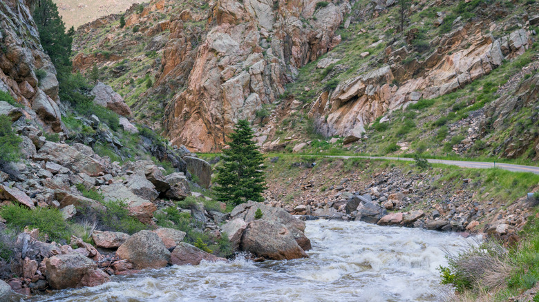 Pineview put-in ("Chuck Norris")