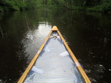 Possible island/wave/ledge?