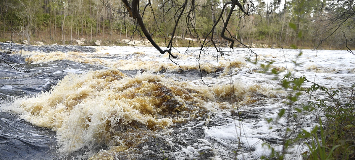 Possible ledge/shoals
