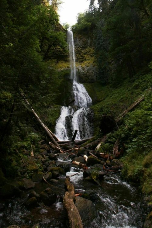 Pour-over (possibly removed)