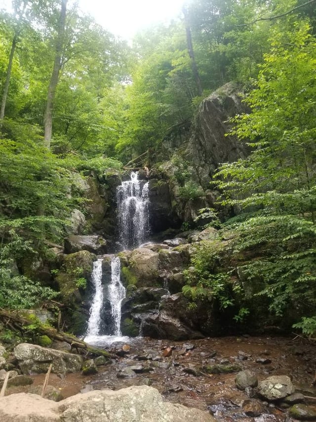 Pritchett Falls (Dry Creek Confluence)