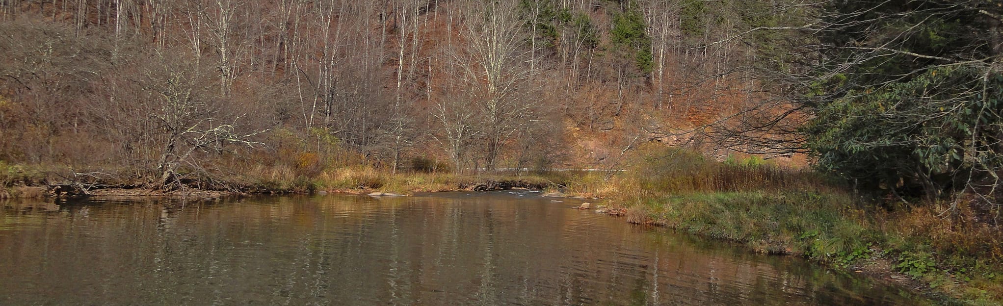 Put In - Confluence of Gandy Creek at Gandy, WV 