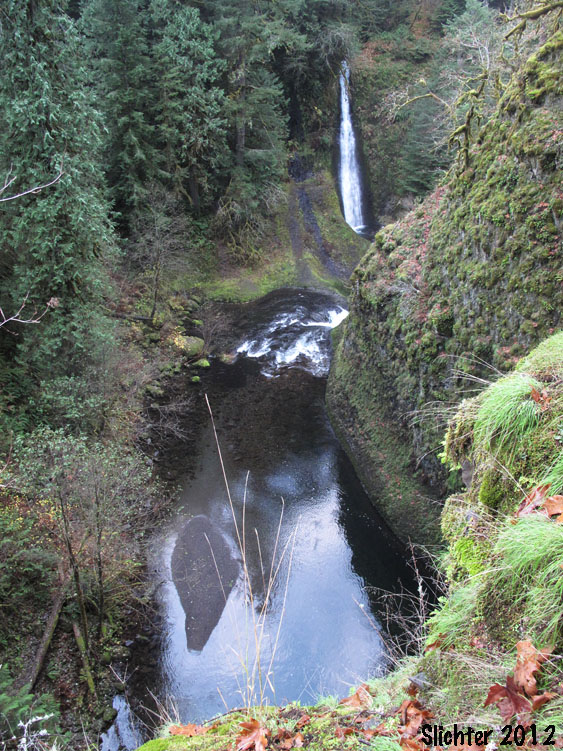 Put In - Eagle Creek Trailhead #440