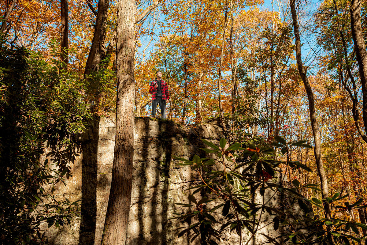 Put In - Farmington - Ohiopyle Rd.