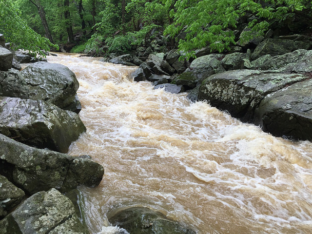 Put In - Harford Creamery Rd.