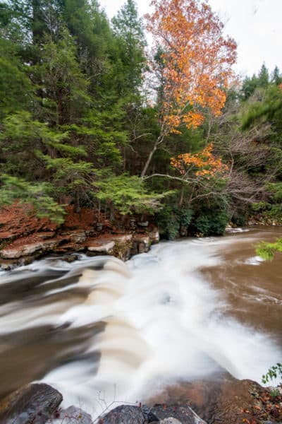 Put In - Packsaddle Road Covered Bridge (T407)