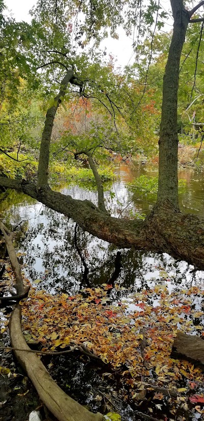 Put-in: Willowdale Park (1320 Olive Street)