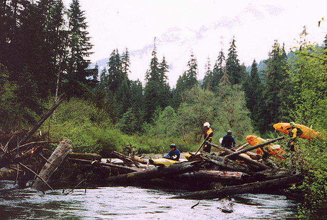 Railroad Bridge Access