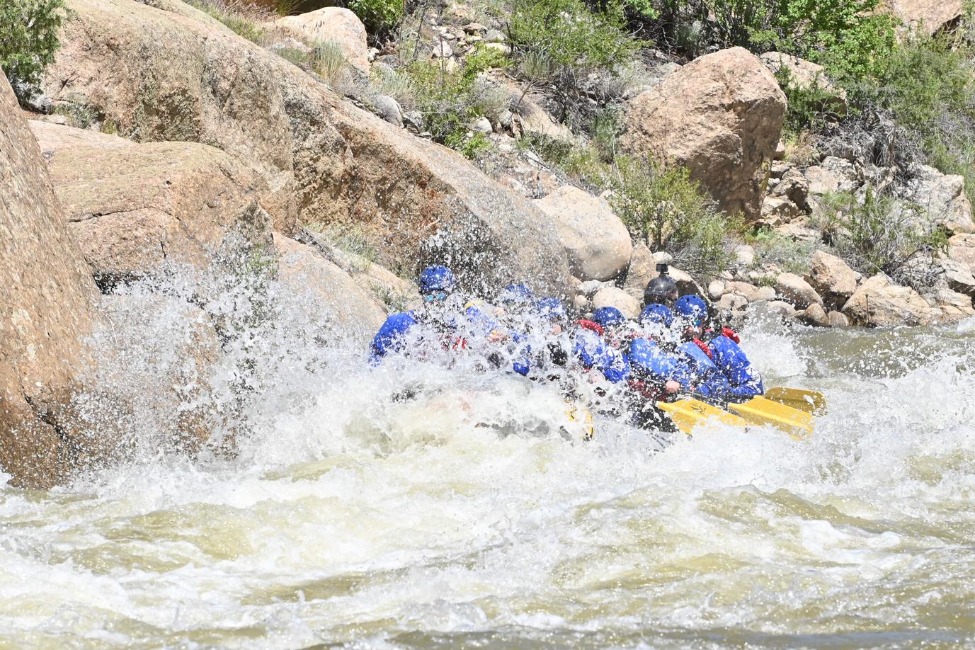 Rapid 1 - Brown Bettie