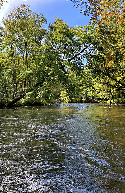 riffles? rips? Rapids?