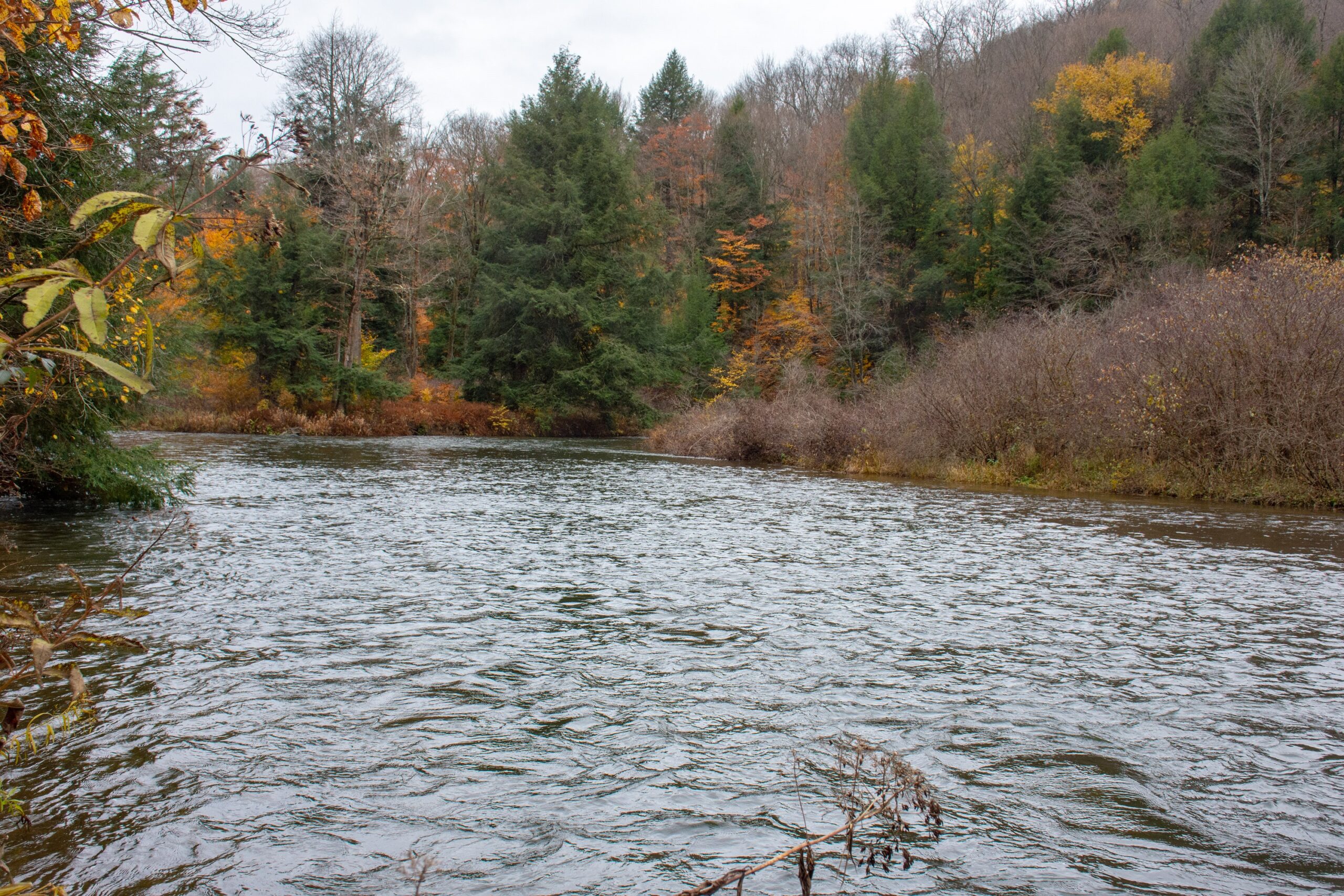 River Access - Glen Hazel Access