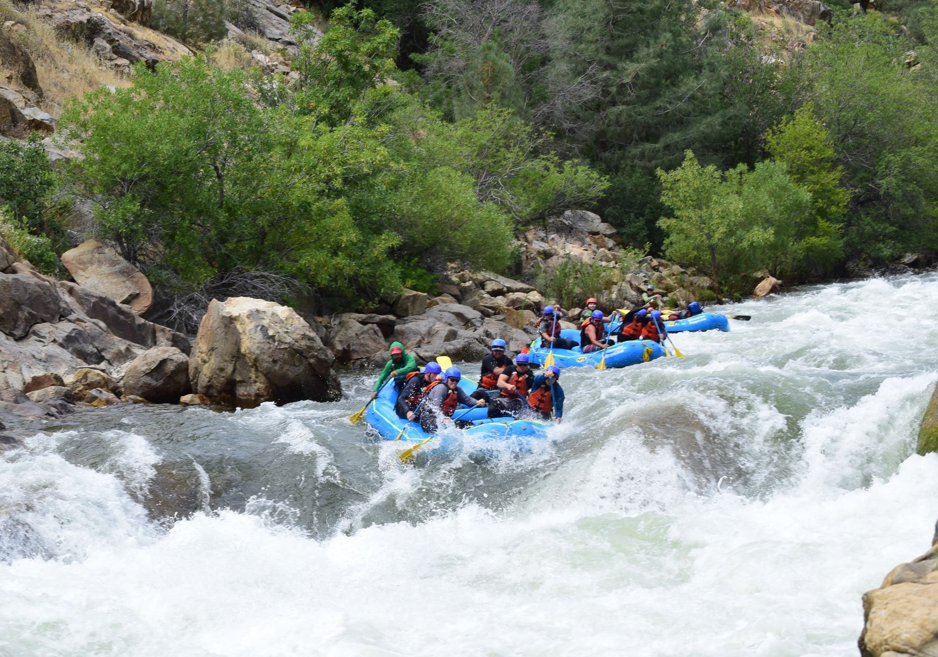 River Rat Rapid