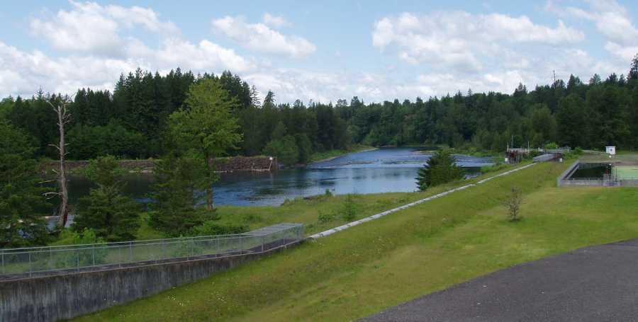 Salmon Hatchery Put In
