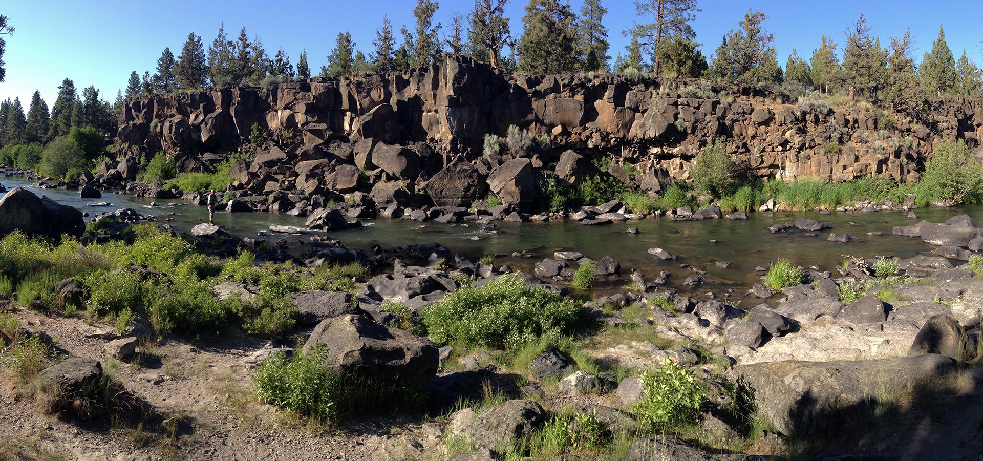 Sawyer Park, Take Out