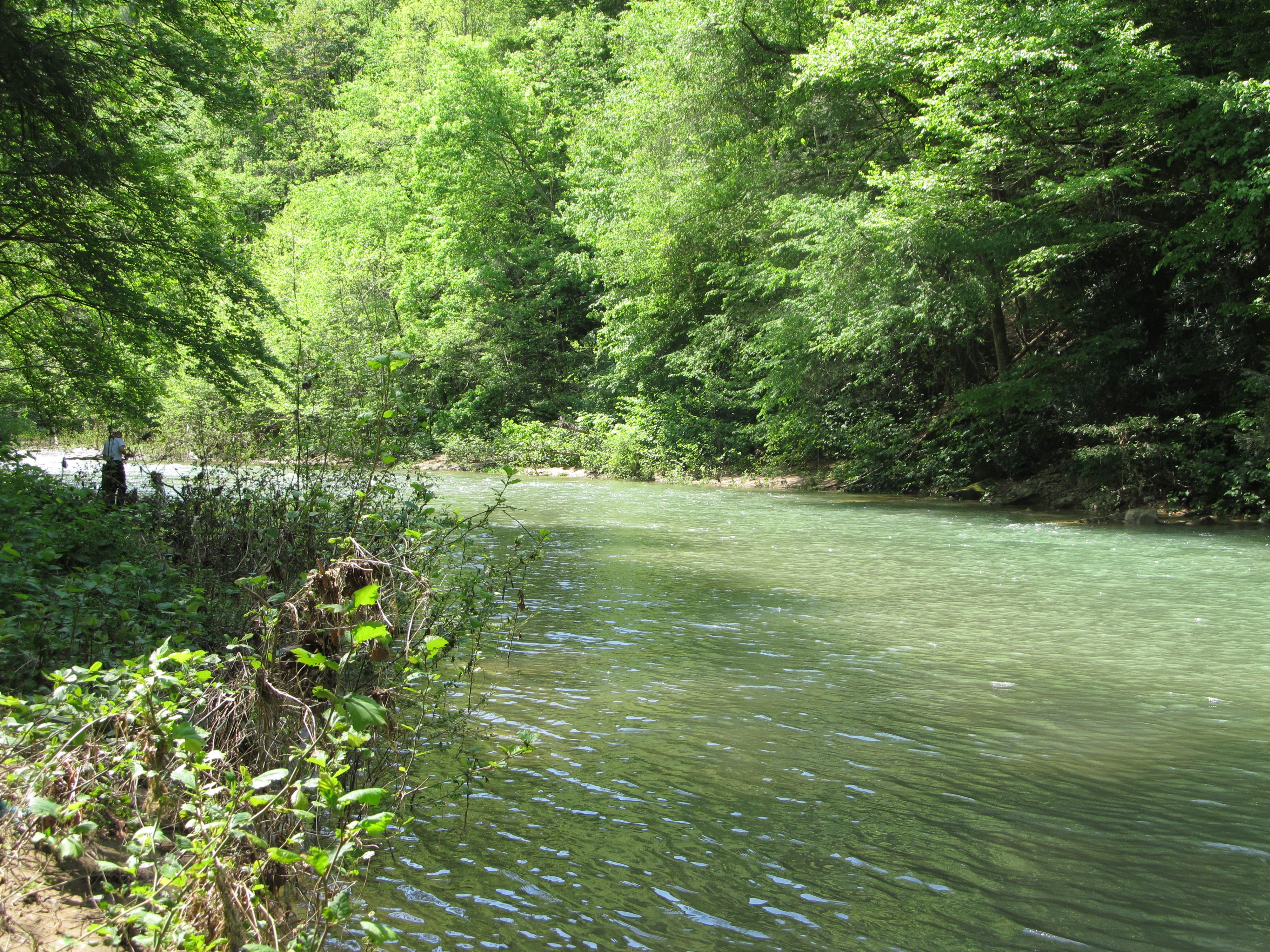 Saylor: Middle Fork Rd at Kentucky Branch Road (Uppermost likely put-in)