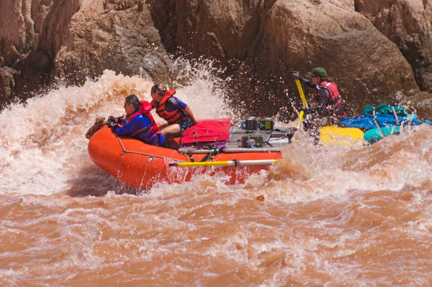 Separation Rapid (1)