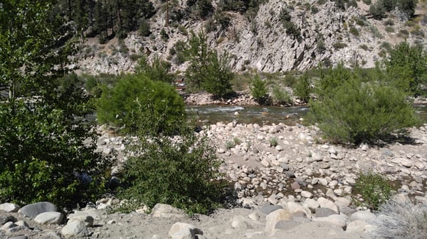 Shingle Mill Flat Picnic Area