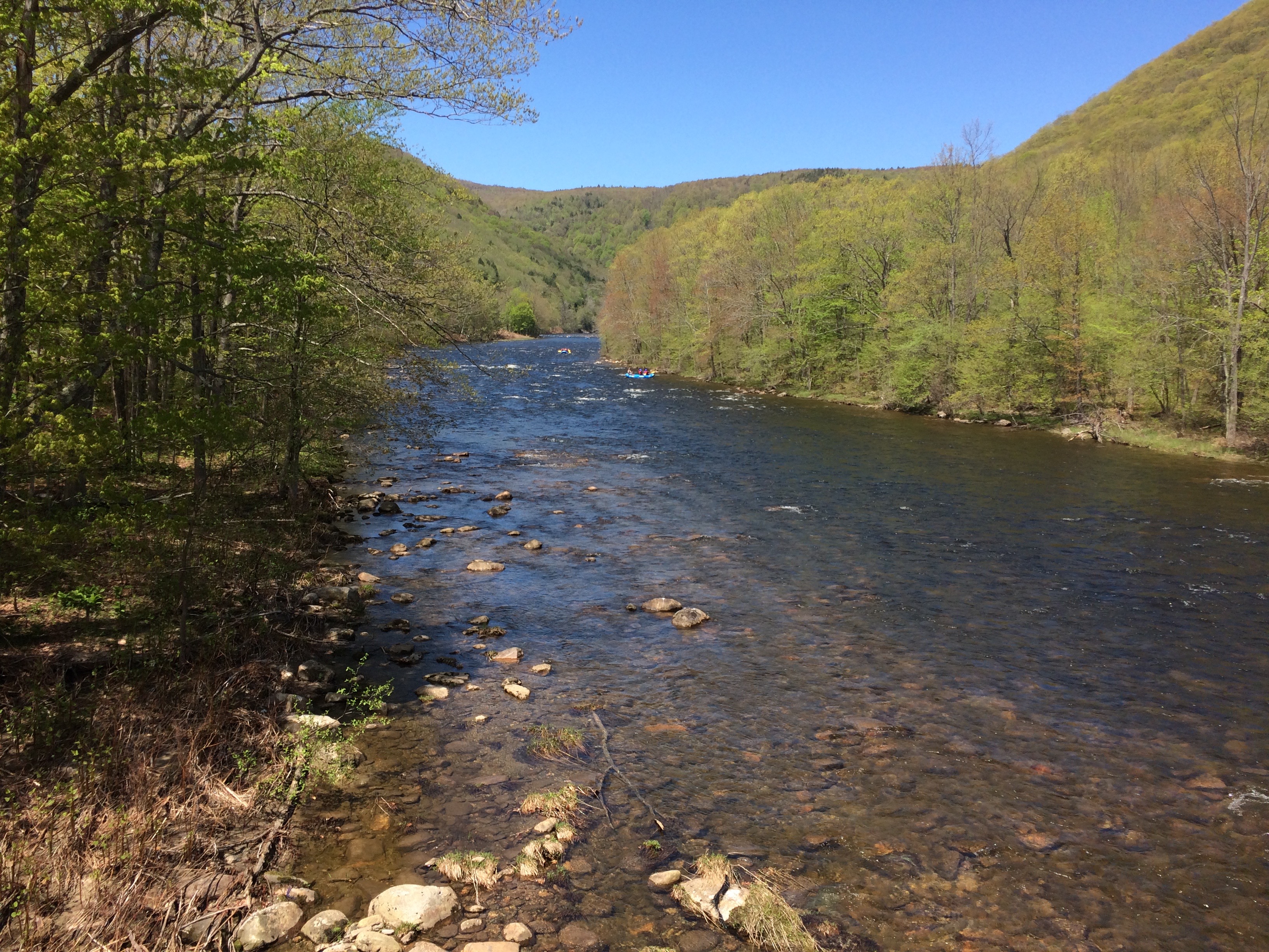 Shunpike Rest Area Access