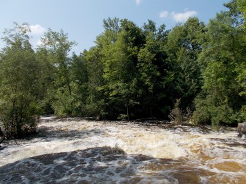 Slightly more significant rocky garden