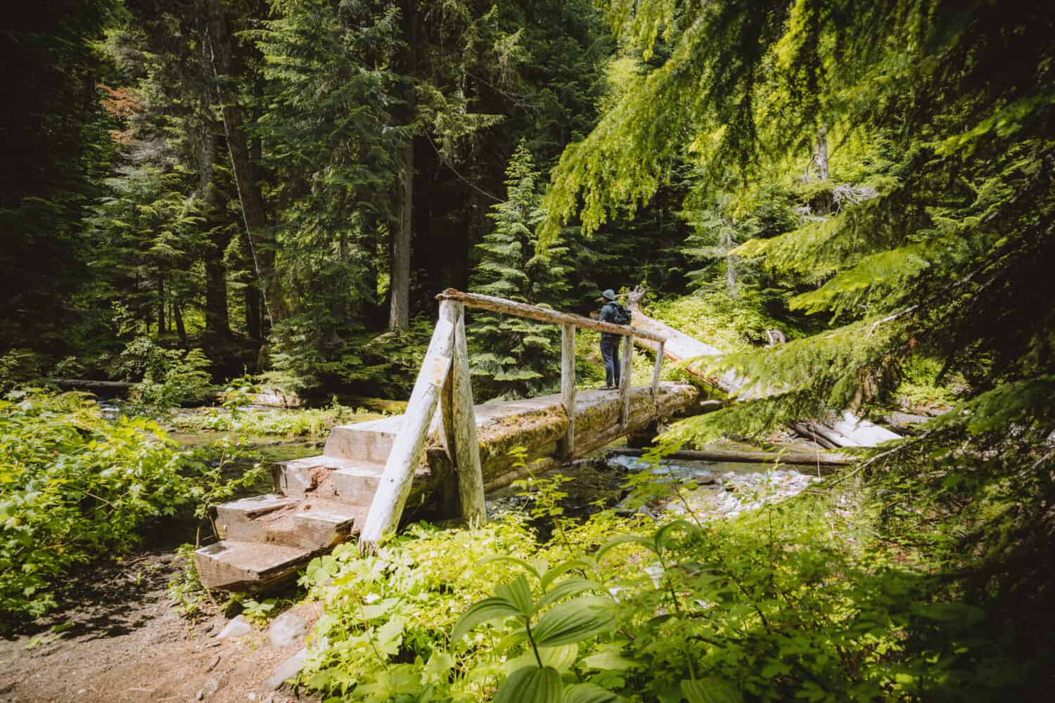 Spur Road at Diamond Falls