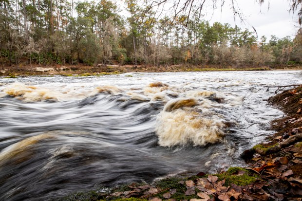 Sulphur Campground Put In