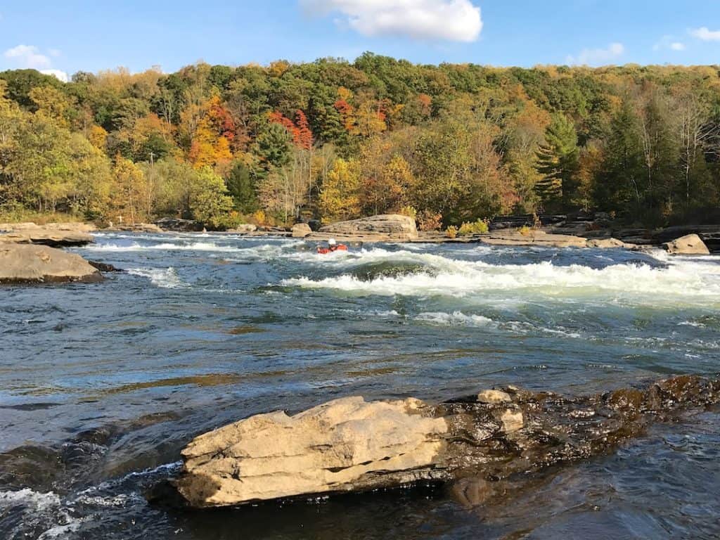 "Surfing Wave Below Bruners"