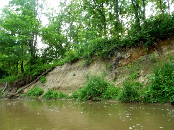 Sycolin Creek Put In