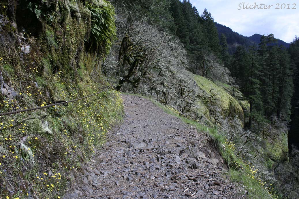 Take Out - Eagle Creek Trailhead #440
