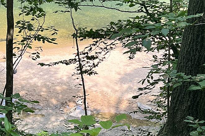 Take Out - Foundry Street at Savage Mill