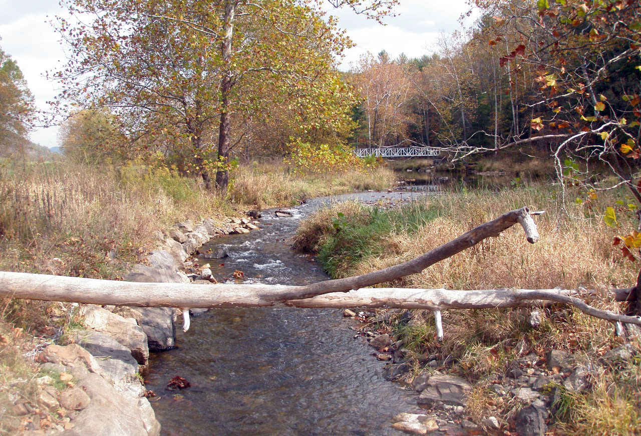Take Out - Little Back Creek Confluence