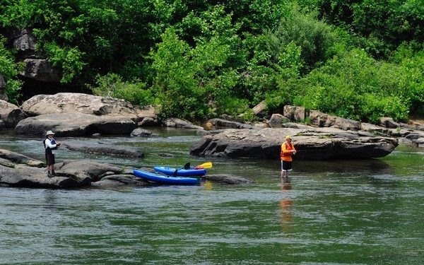 Take Out - Loop Rd., Davis WV